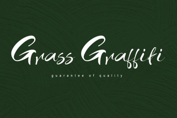 Grass Graffiti: The Handwritten Font Redefining Authenticity in Brand Communication